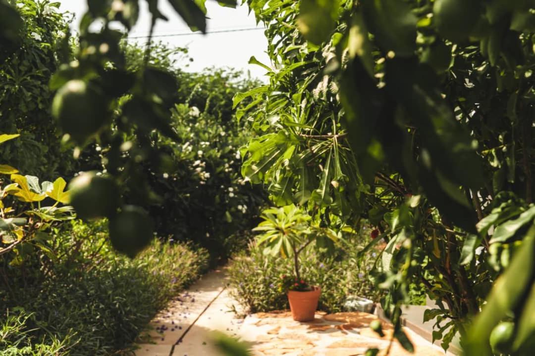Belle Villa Popenguine Εξωτερικό φωτογραφία